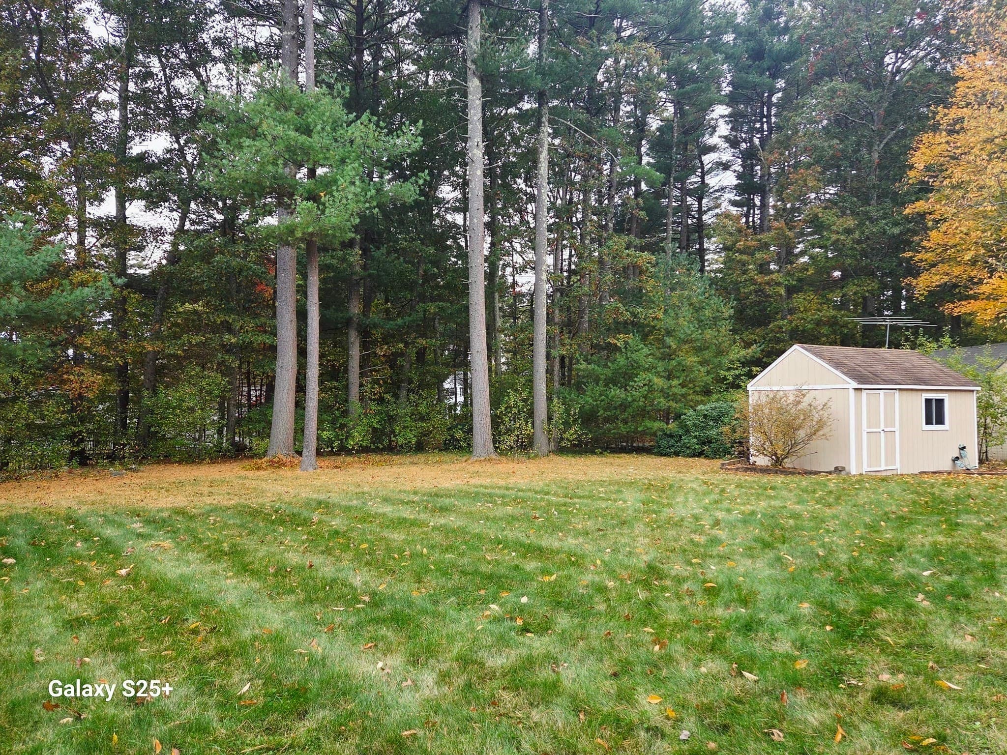 Single Family Residence at 25 Neal St, Walpole MA 02081, photo 4 of 16