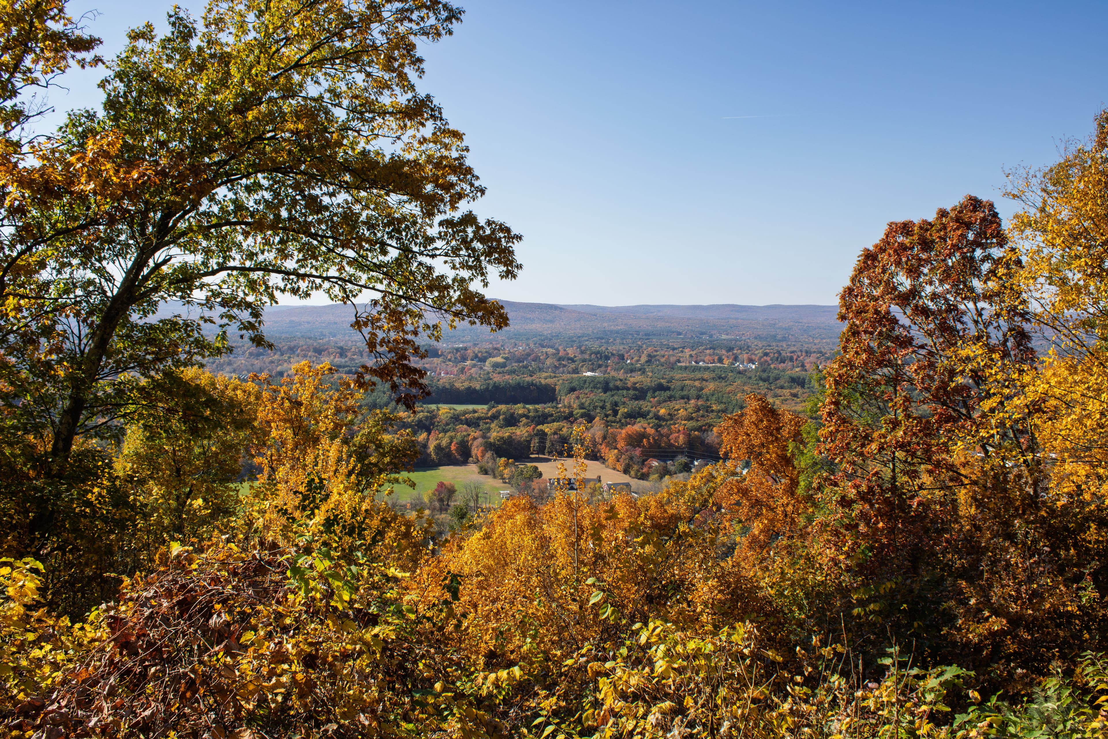 Holyoke
