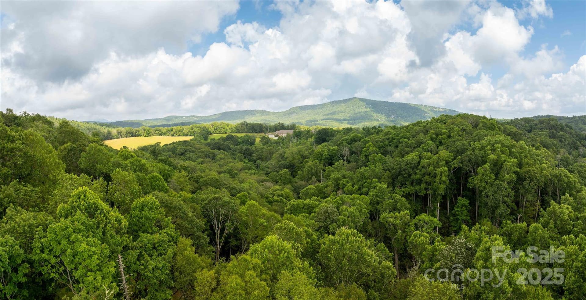 Lot 215 & 217 aerial view - TBD Lot 217 Thunderhill Trail, Blowing Rock