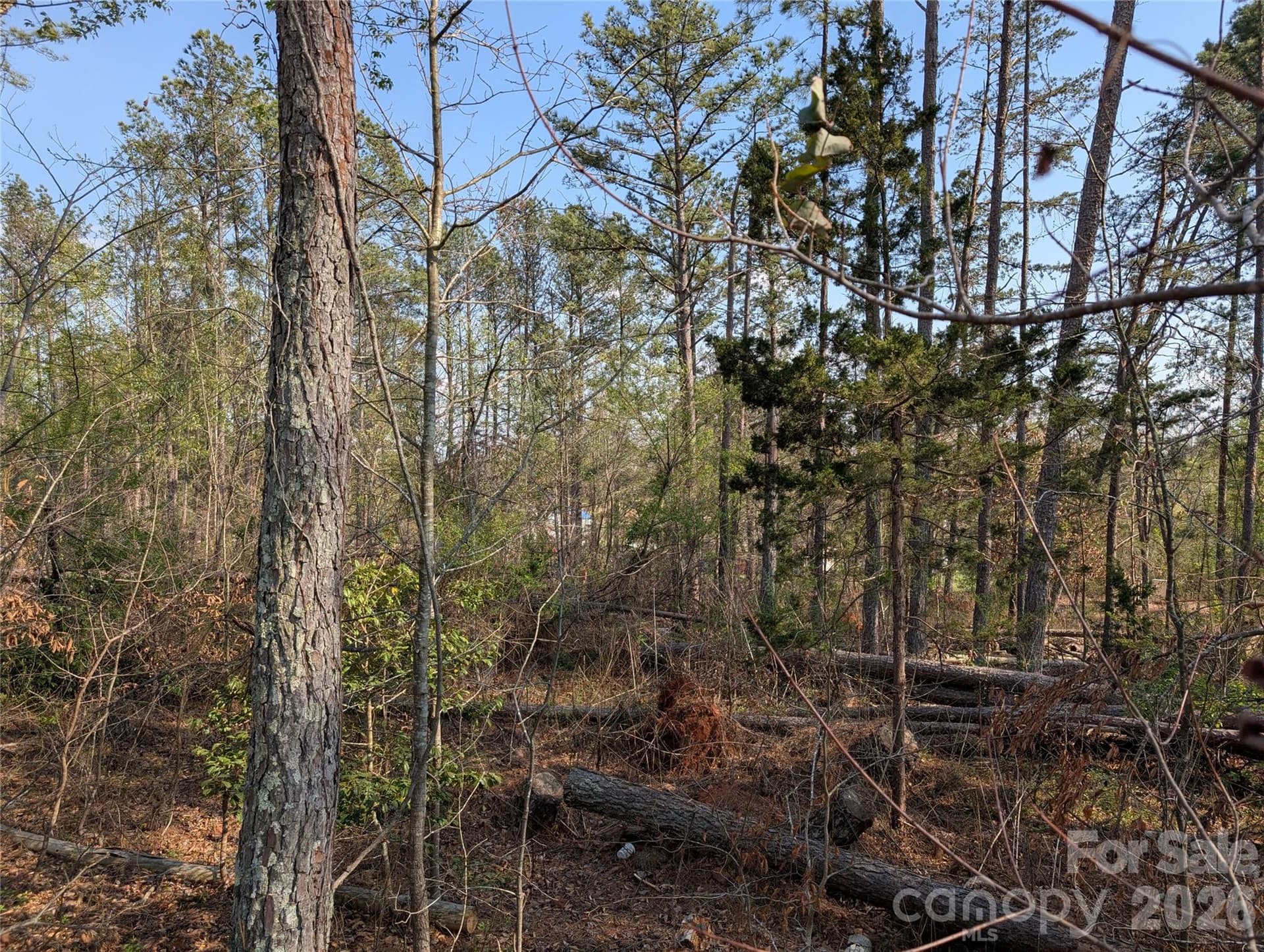 Lot at TBD Whitesides Road, Forest City