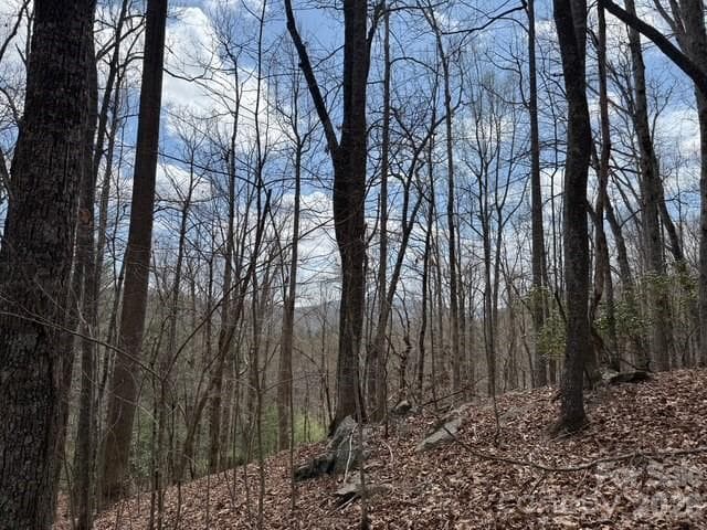 Lot at 158 Chattooga Run, Hendersonville, photo 5 of 9