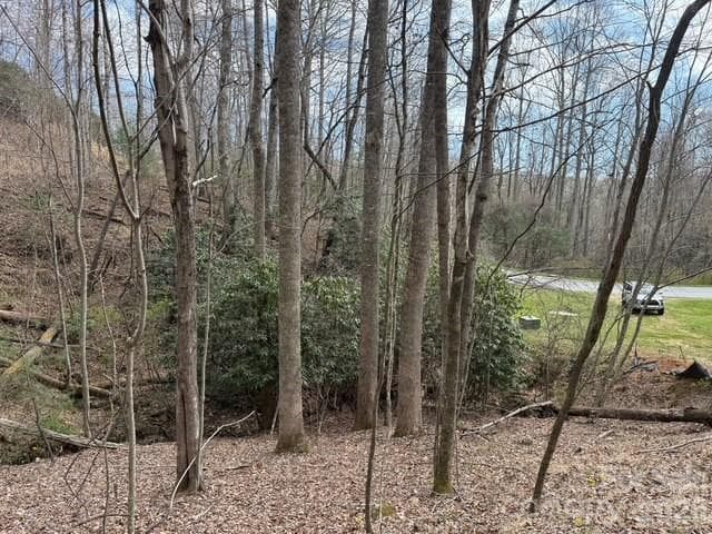 Lot at 158 Chattooga Run, Hendersonville, photo 9 of 9