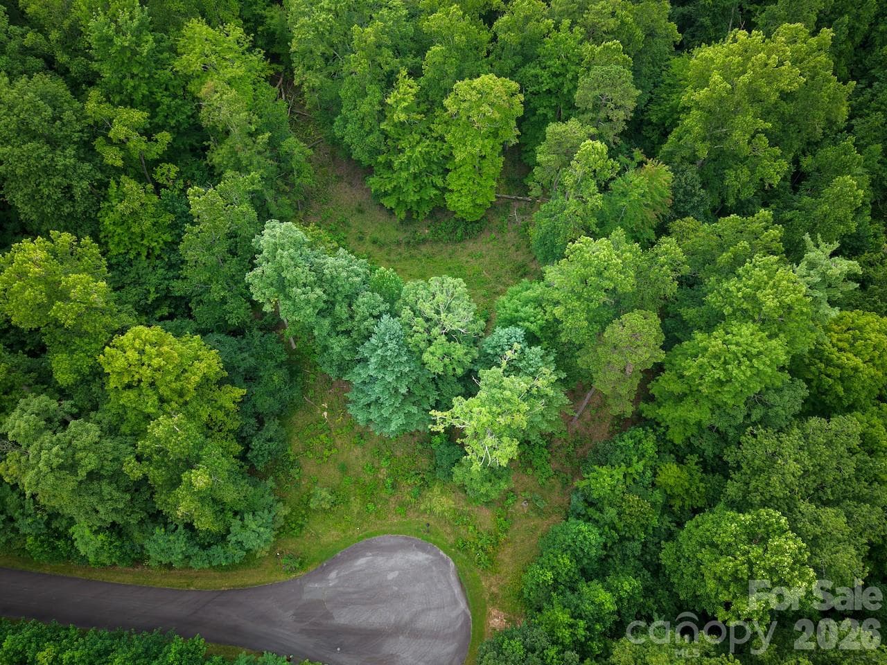 Overhead view of lot - 120 Ben Lippen School Road, Asheville