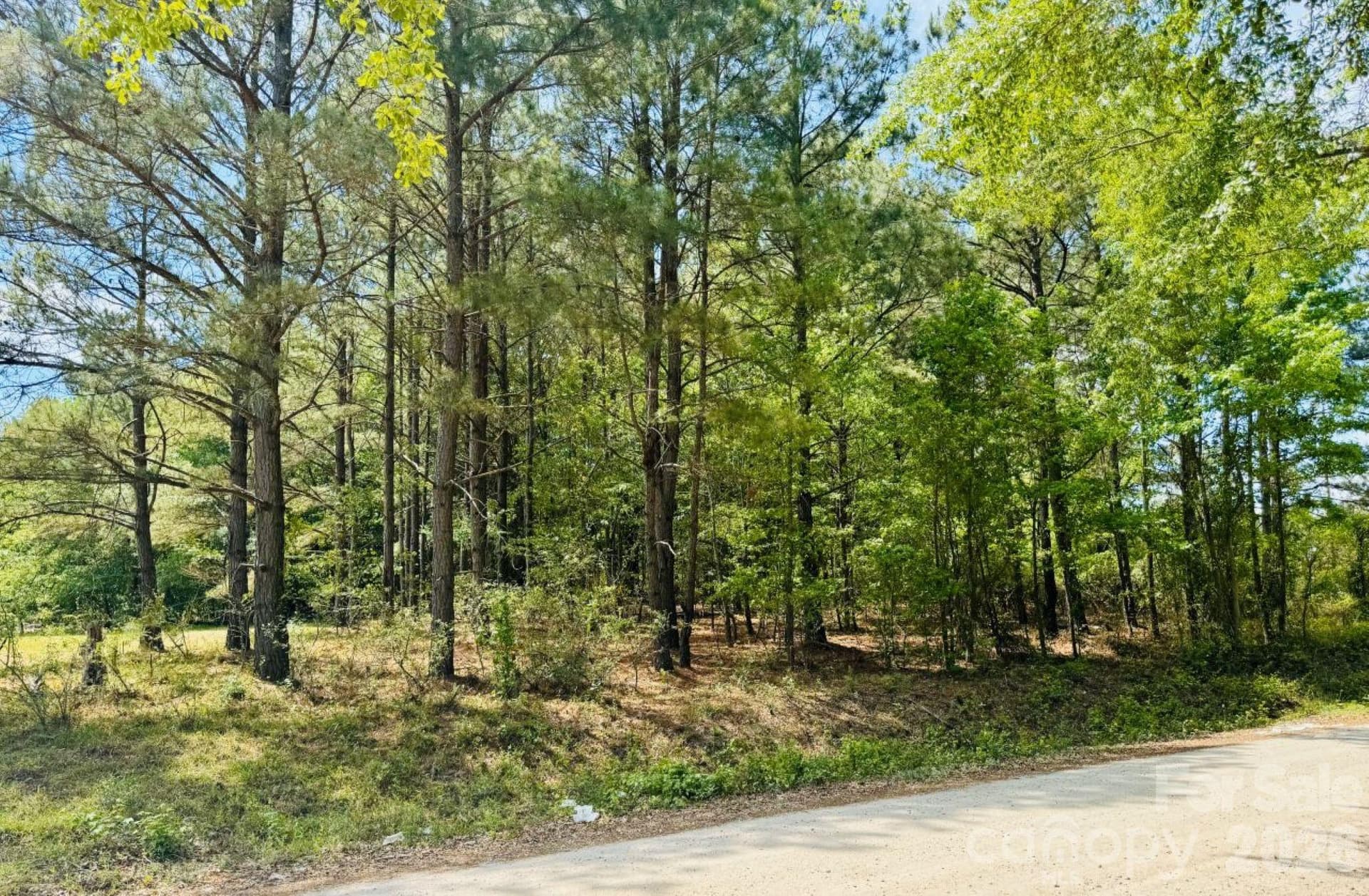 Lot at 385 Elbert Baskins Road, Cheraw, photo 3 of 11