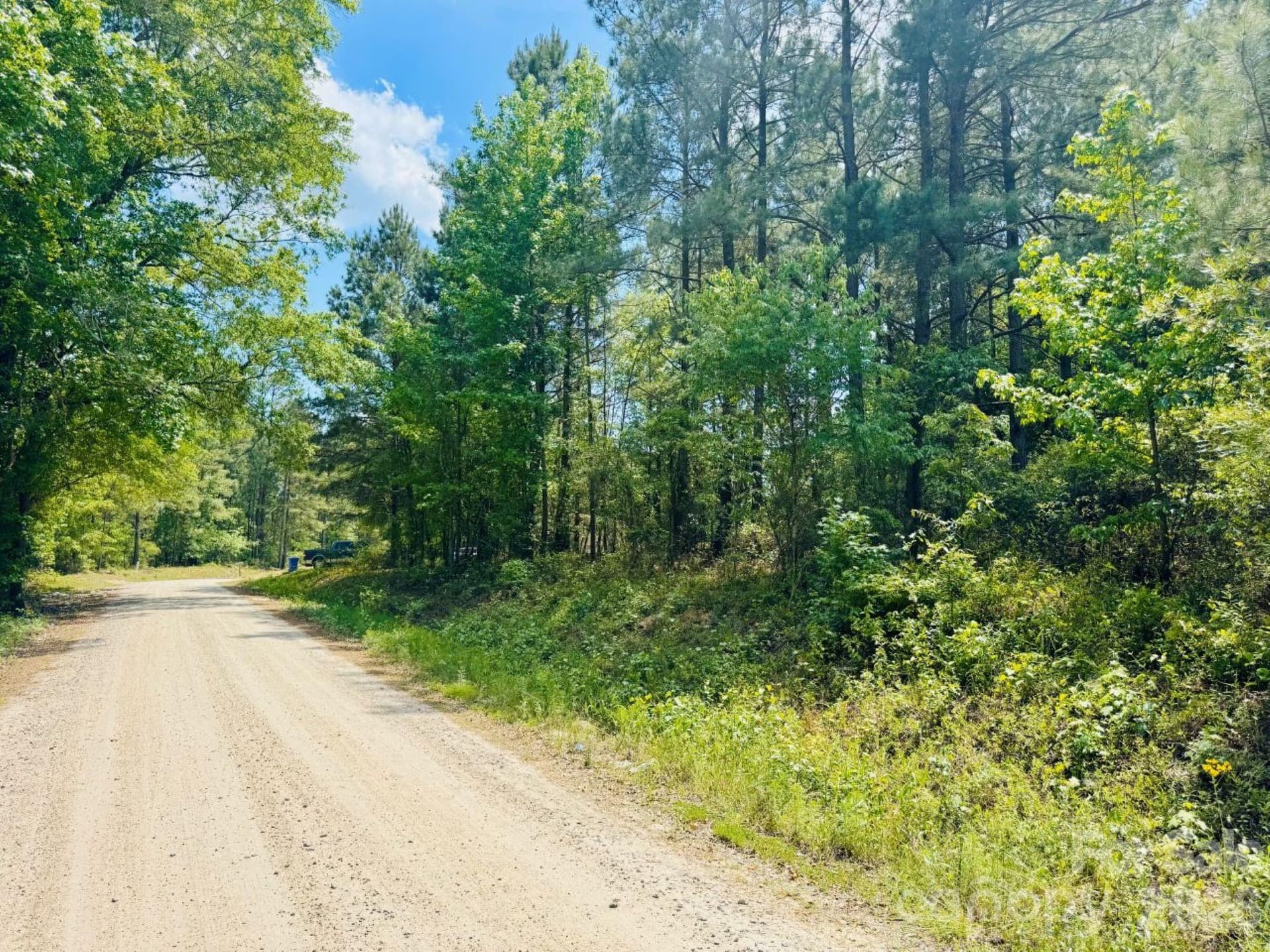 Lot at 385 Elbert Baskins Road, Cheraw, photo 5 of 11