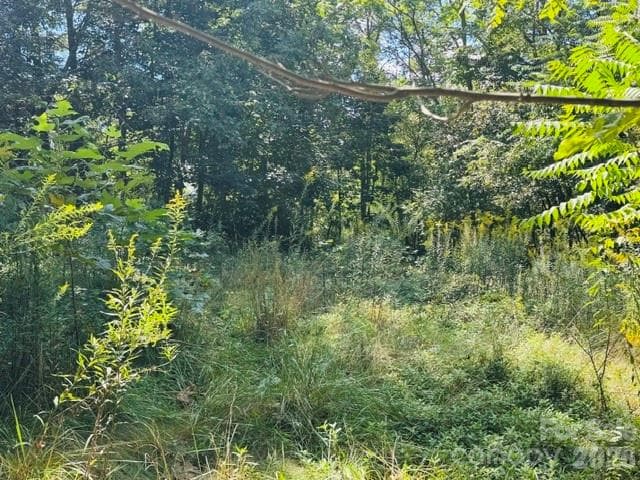 Lot at TBD Hi Alta Avenue, Asheville, photo 33 of 39