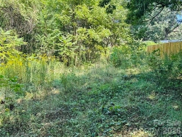 Lot at TBD Hi Alta Avenue, Asheville, photo 35 of 39