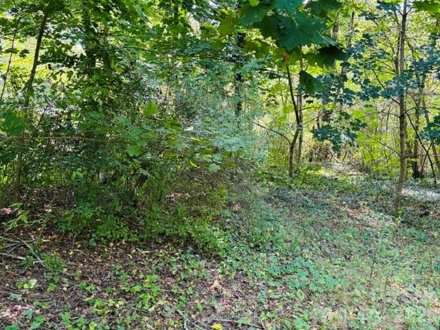 Lot at TBD Hi Alta Avenue, Asheville, photo 37 of 39