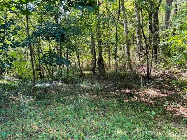 Lot at TBD Hi Alta Avenue, Asheville, photo 38 of 39