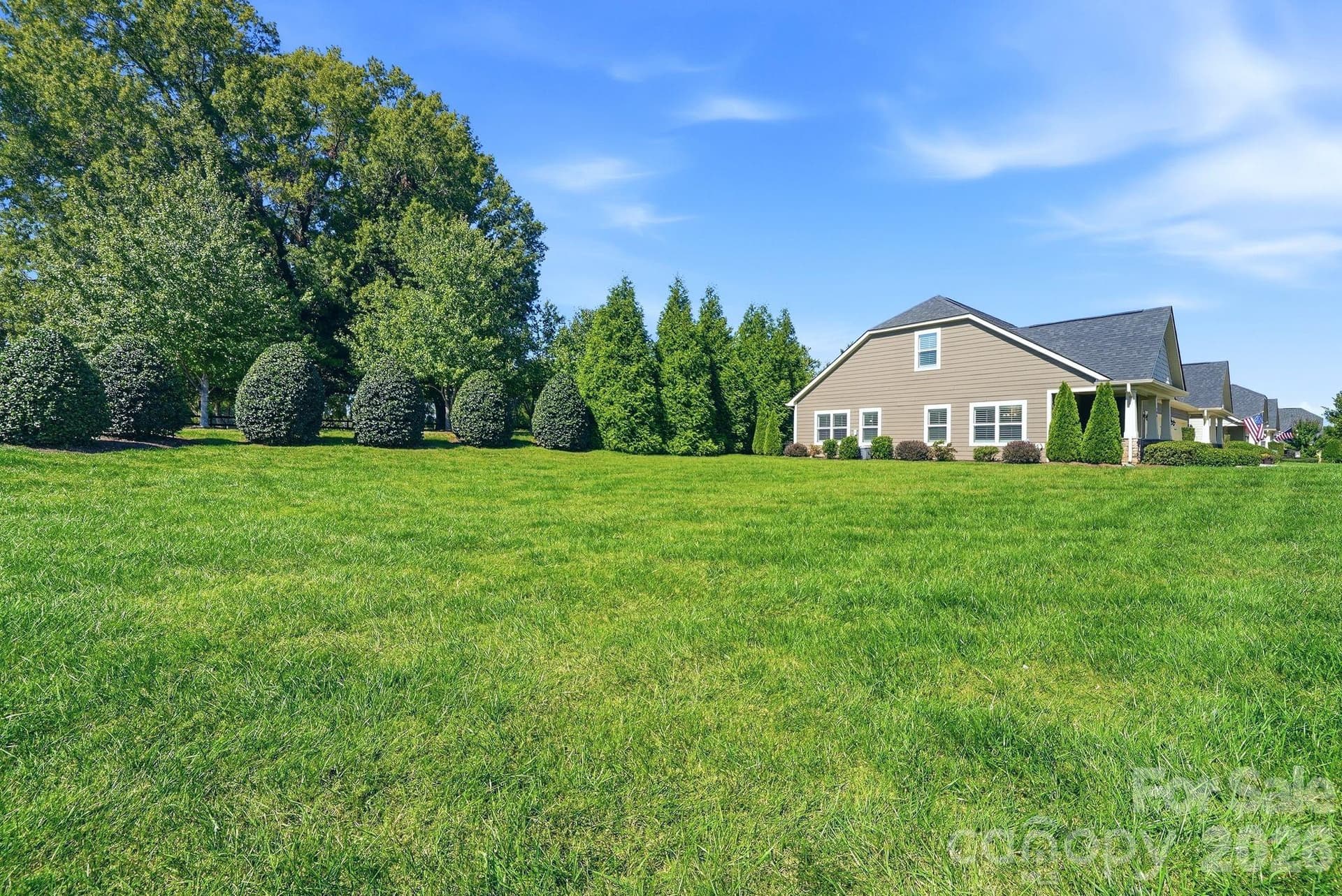 Huge side yard - 108 Damsire Court, Mooresville