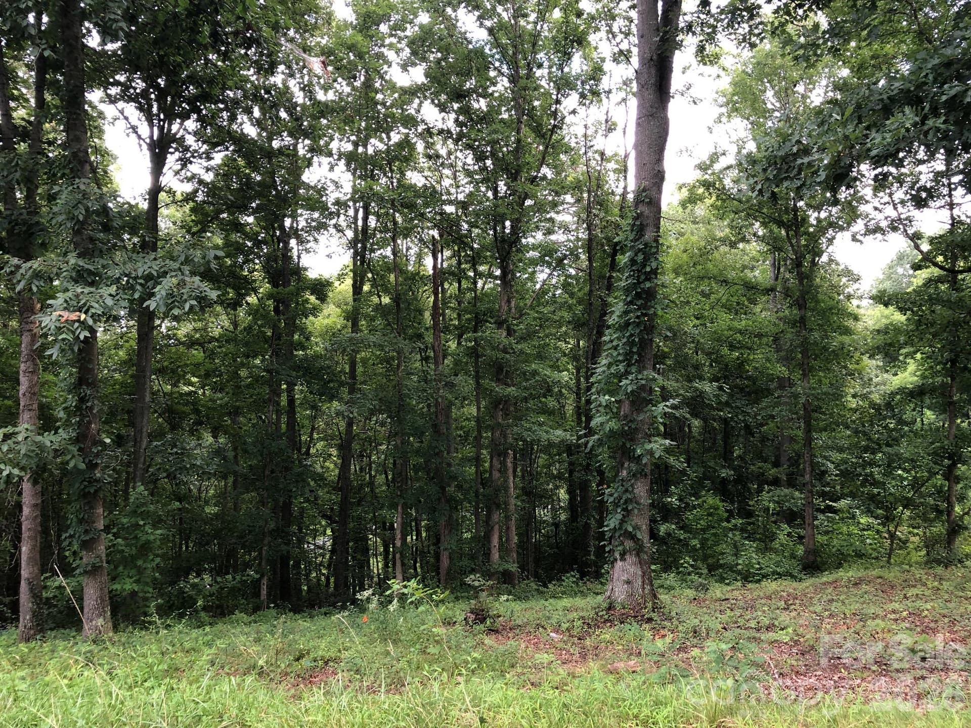 45 Sweet Fern Parkway