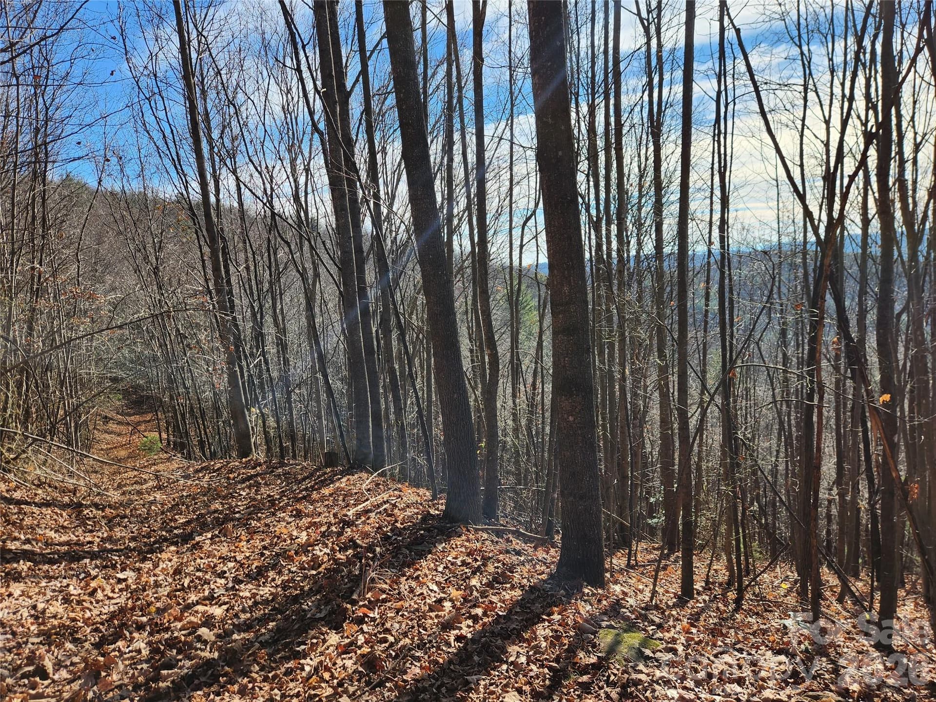 Acreage at 6900 Mertie Road, Millers Creek