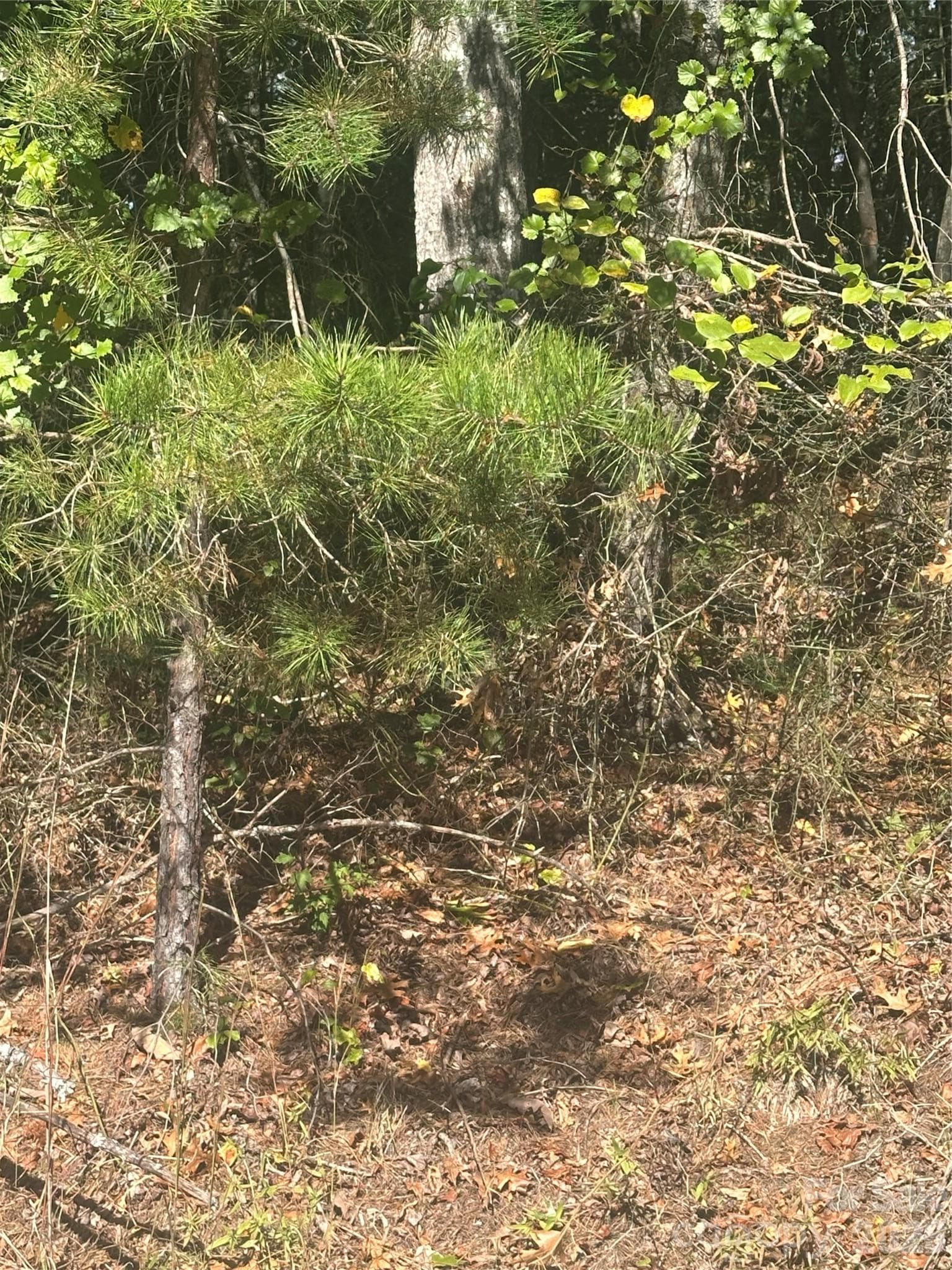 Lot 6 Saint Andrews Drive