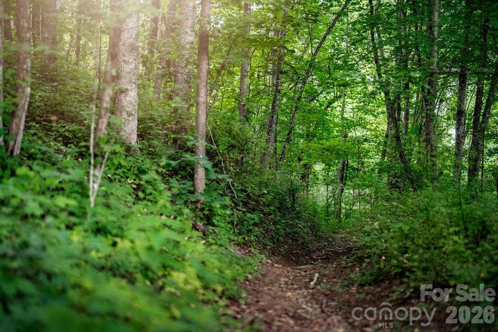 Hiking trails - 0000 East Garden Trail, Hendersonville