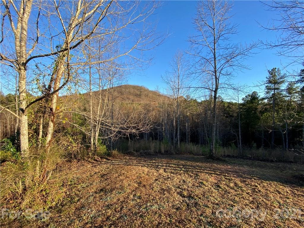 Acreage at Nebo, photo 5 of 13
