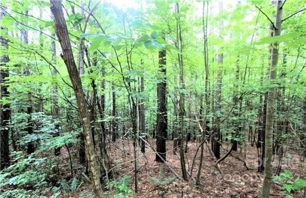 Lot at Rutherfordton, photo 2 of 15