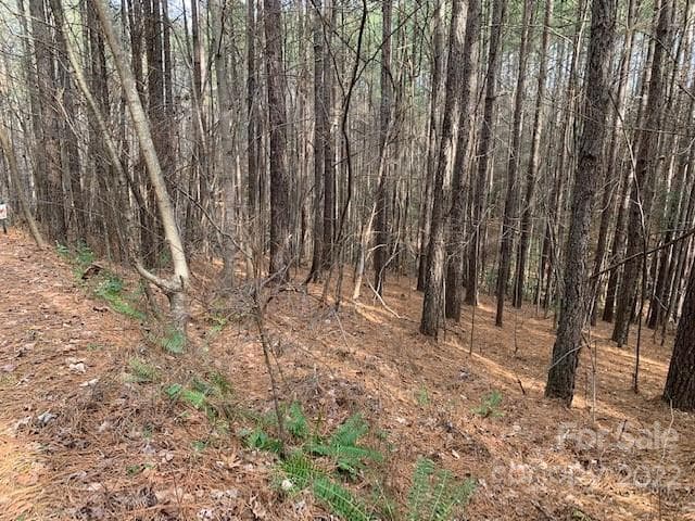 Lot at Rutherfordton, photo 3 of 15