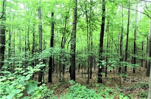 Lot at Rutherfordton, photo 4 of 15