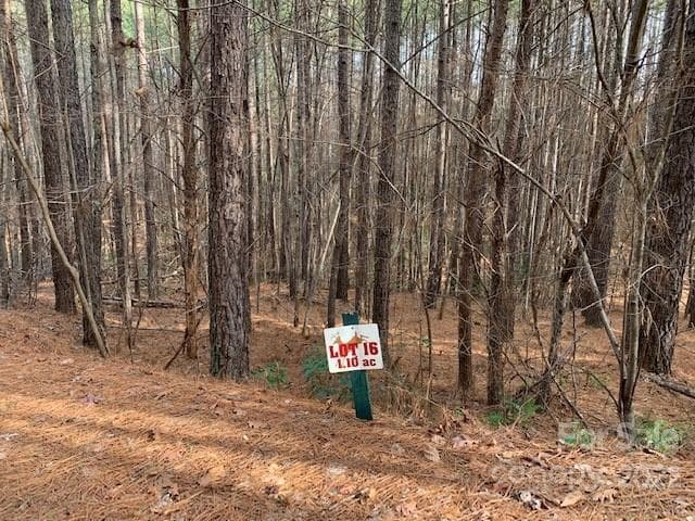 Lot at Rutherfordton, photo 5 of 15