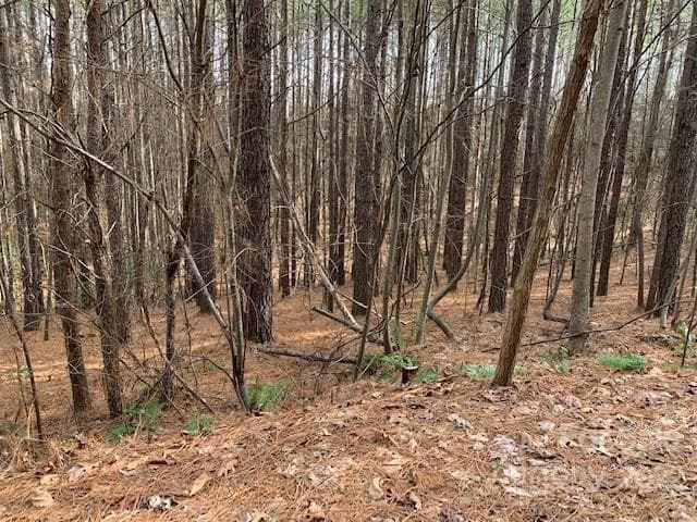 Lot at Rutherfordton, photo 7 of 15