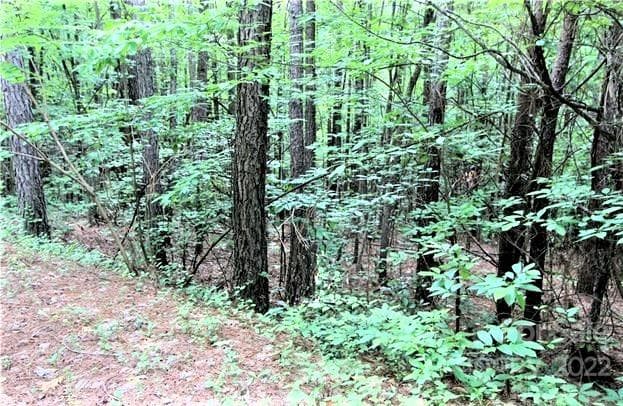 Lot at Rutherfordton, photo 8 of 15