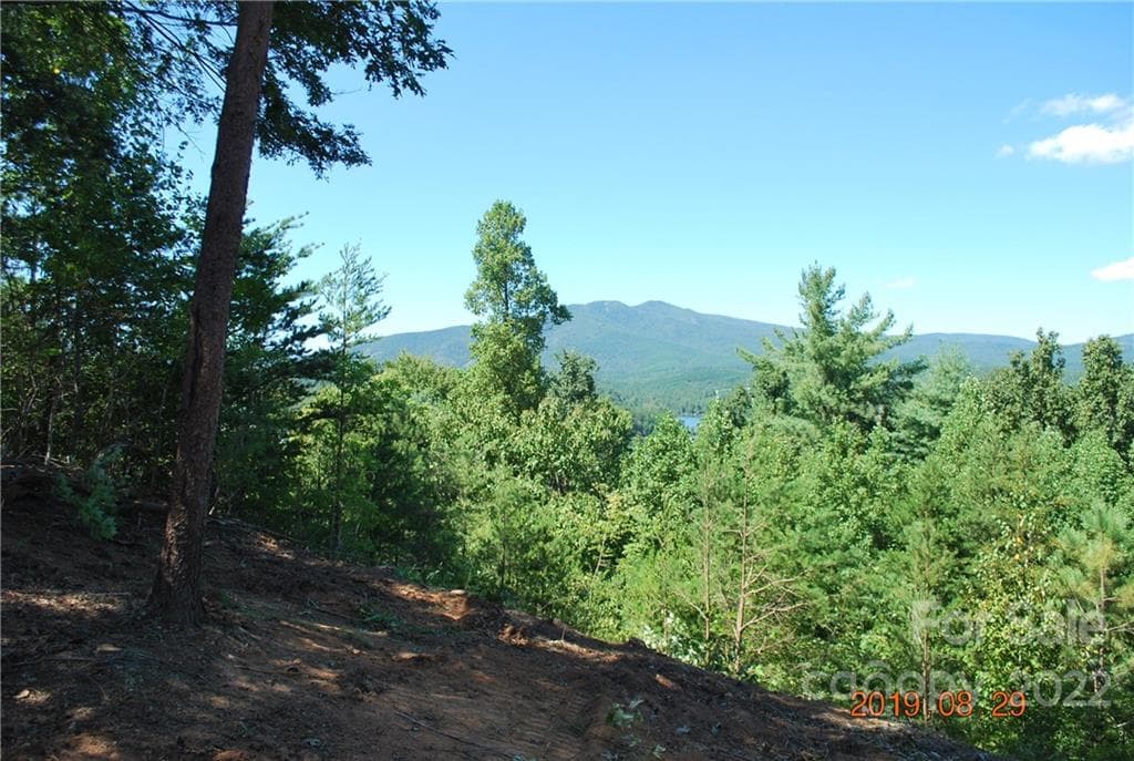 Lot at Nebo, photo 2 of 29