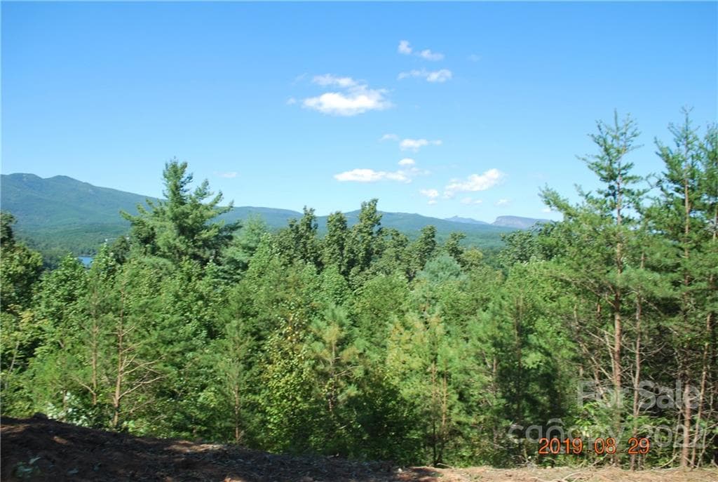 Lot at Nebo, photo 3 of 29