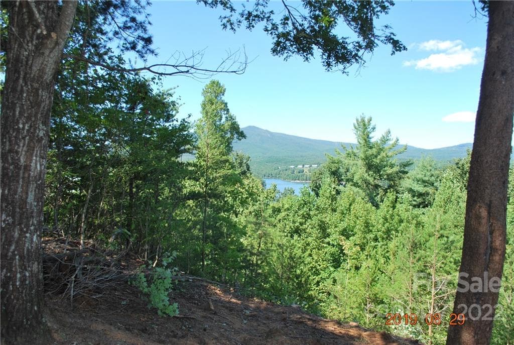 Lot at Nebo, photo 4 of 29
