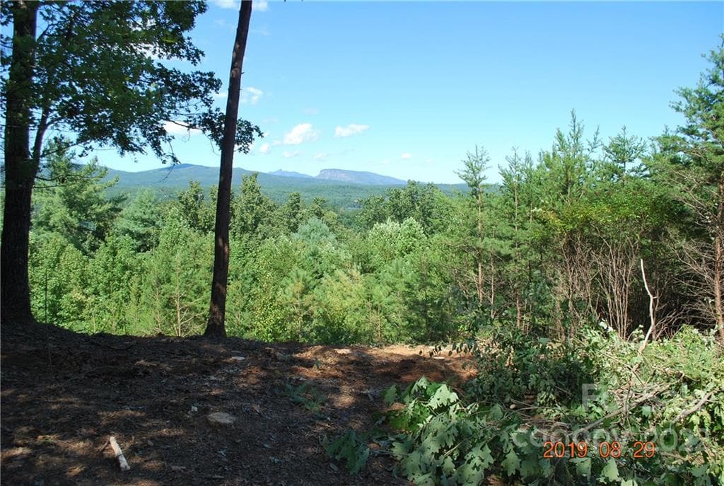Lot at Nebo, photo 5 of 29