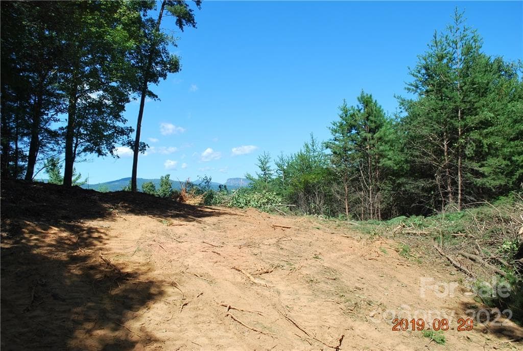Lot at Nebo, photo 8 of 29