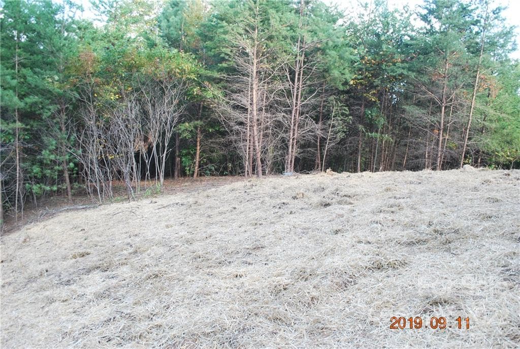 Lot at Nebo, photo 9 of 29