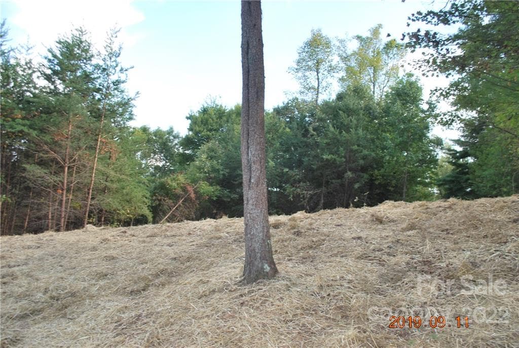 Lot at Nebo, photo 10 of 29