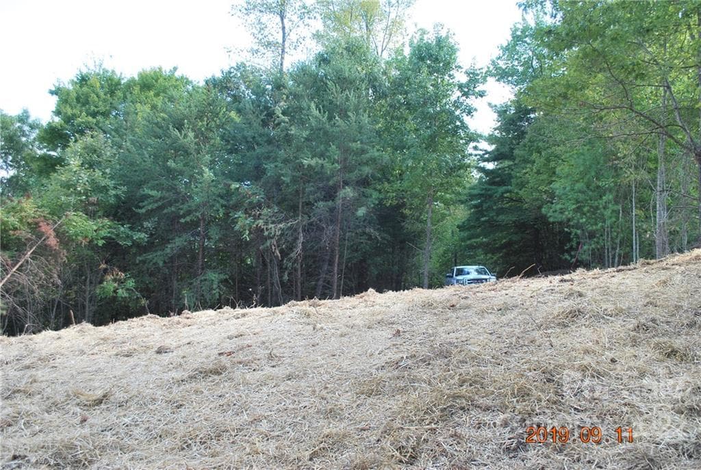 Lot at Nebo, photo 11 of 29