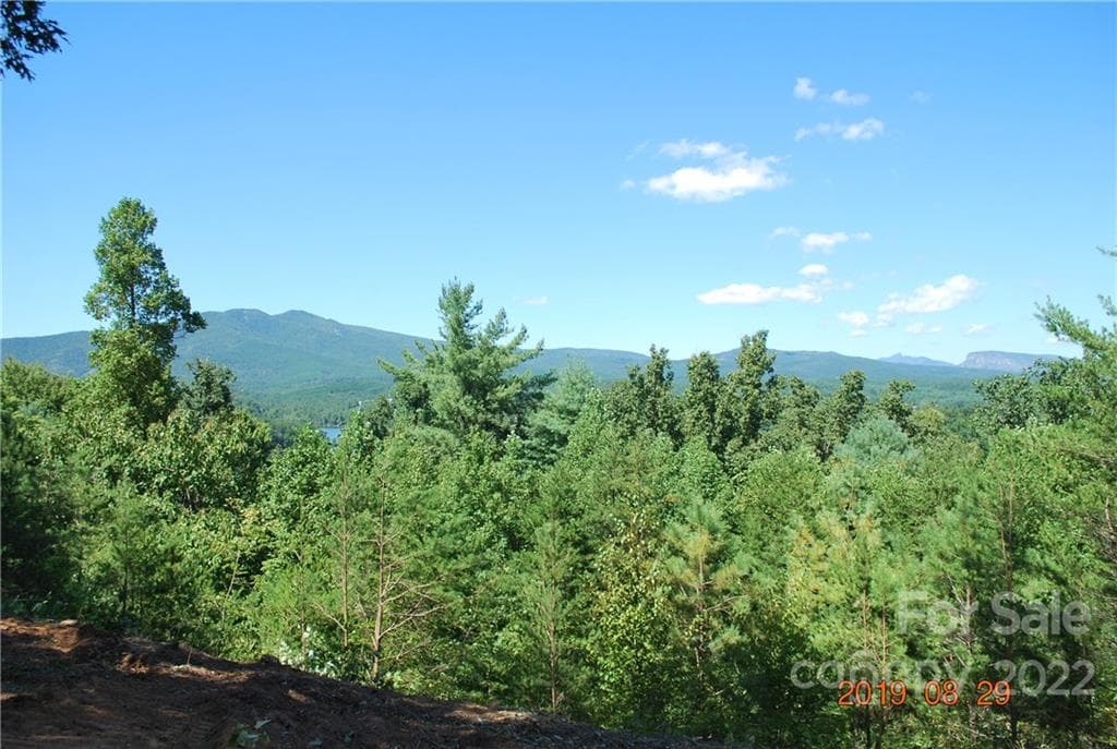 Lot at Nebo, photo 13 of 29