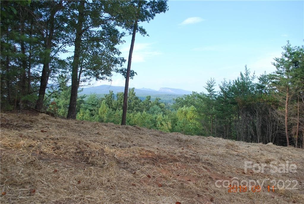 Lot at Nebo, photo 17 of 29