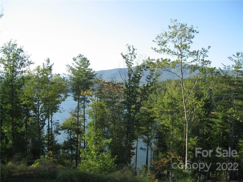 Lot at Nebo, photo 21 of 29