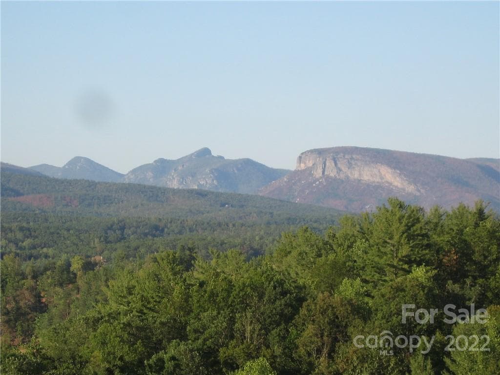 Lot at Nebo, photo 24 of 29