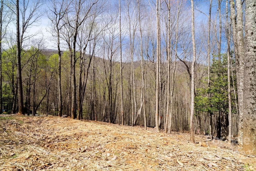 Lot at Arden, photo 5 of 9
