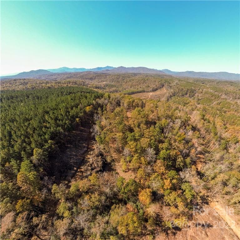 Acreage at Rutherfordton, photo 4 of 21