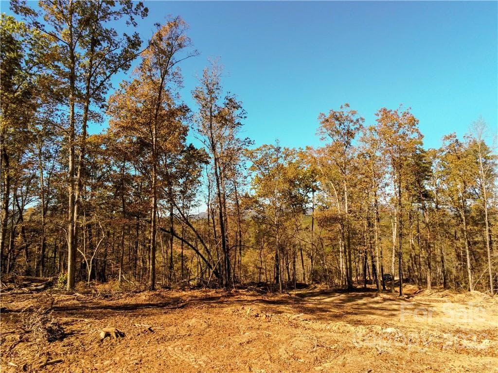 Acreage at Rutherfordton, photo 7 of 21