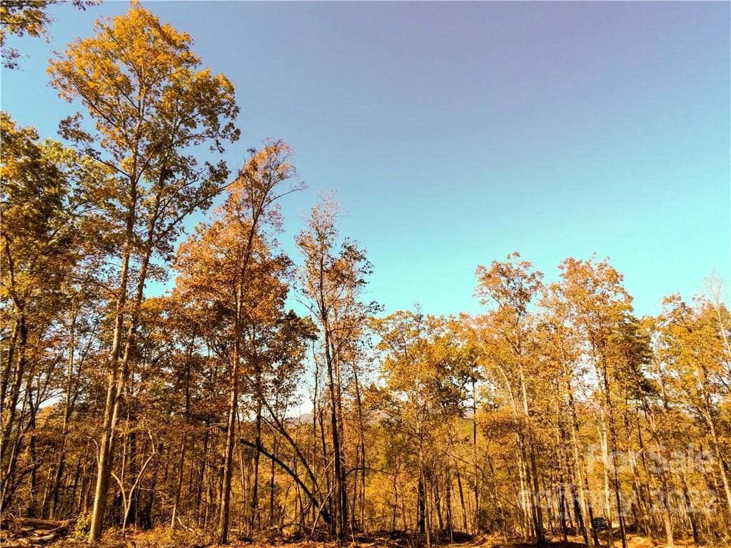 Acreage at Rutherfordton, photo 10 of 21