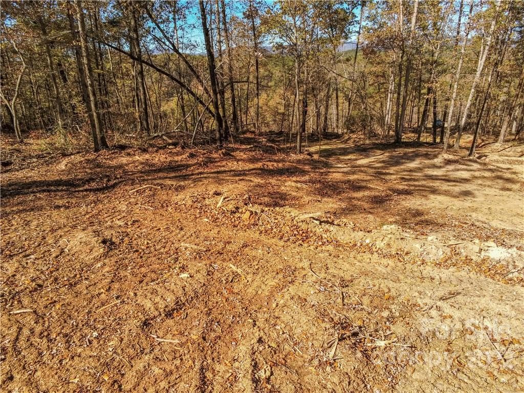 Acreage at Rutherfordton, photo 11 of 21