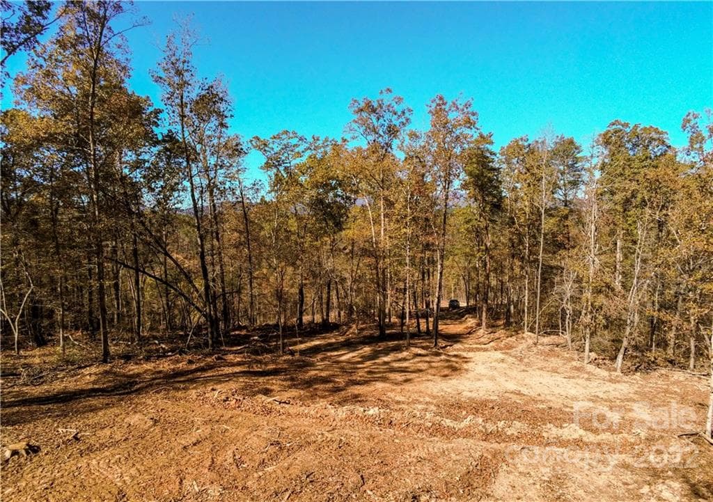 Acreage at Rutherfordton, photo 12 of 21