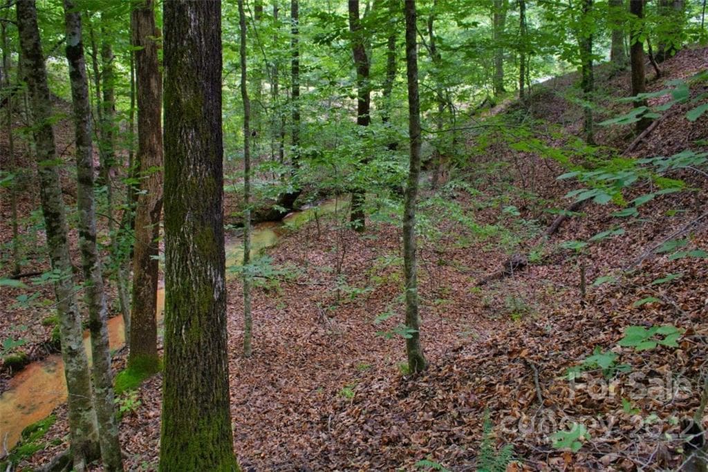 Lot at 0 Midnight Pass, Rutherfordton, photo 4 of 5