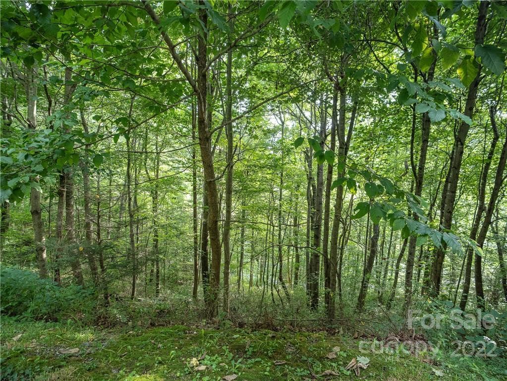 Lot at Maggie Valley, photo 4 of 26