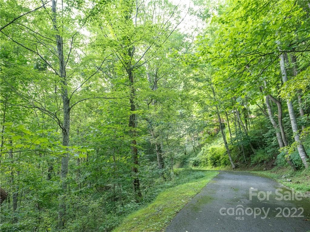 Lot at Maggie Valley, photo 3 of 26