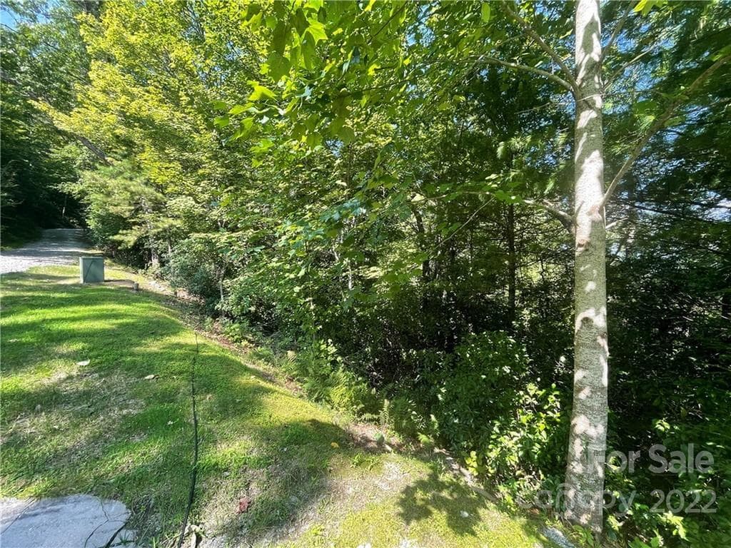 Lot at 99999 Pine Mountain Trail, Brevard, photo 2 of 17