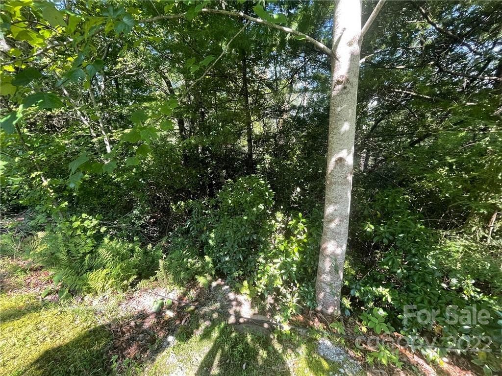 Lot at 99999 Pine Mountain Trail, Brevard, photo 3 of 17