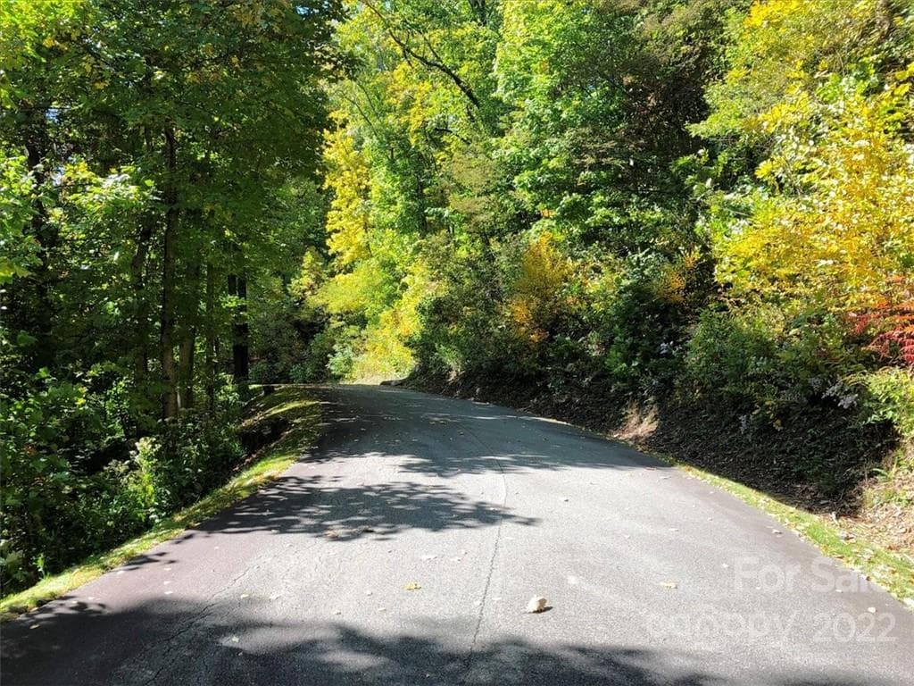 Road view - lot on the left - Waynesville
