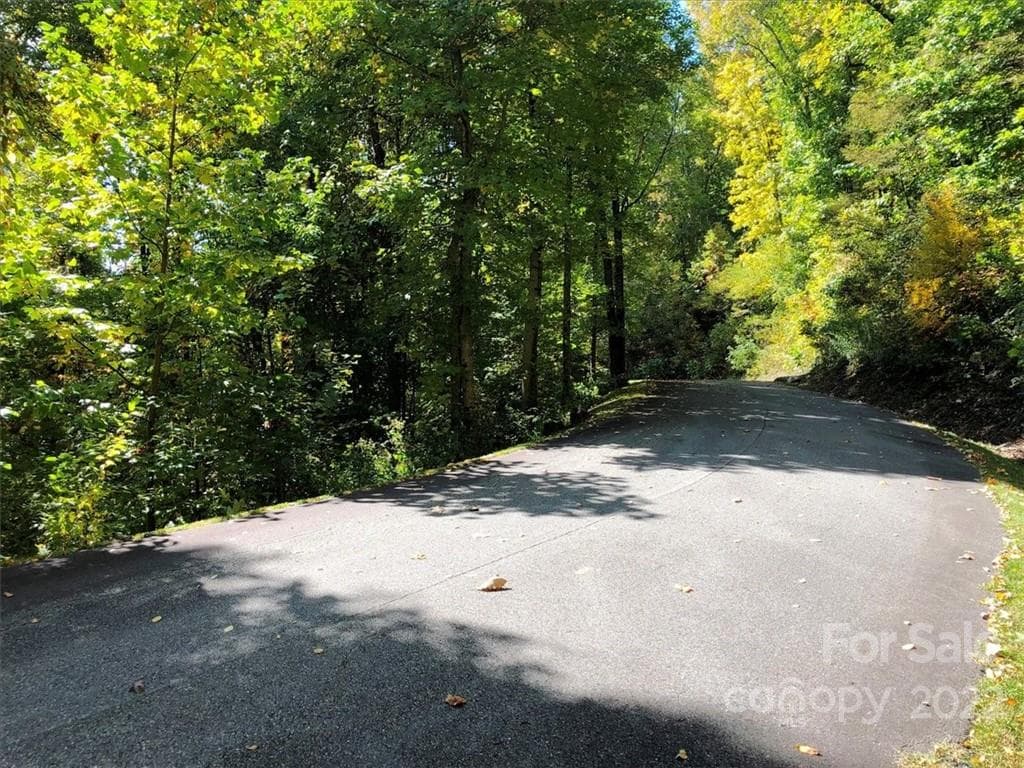 Lot at Waynesville, photo 4 of 8
